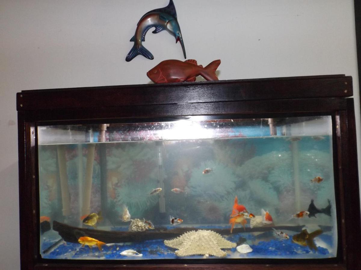 Hostel Lize Cumbica Dış mekan fotoğraf